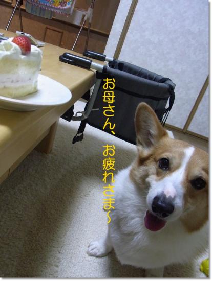 RIMG0535_20120411213250.jpg