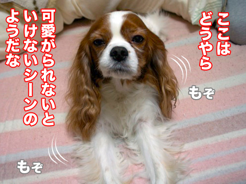 o317.jpg
