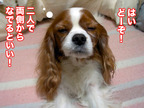 o318.jpg