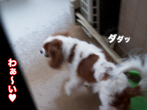 o341.jpg