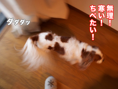 o347.jpg