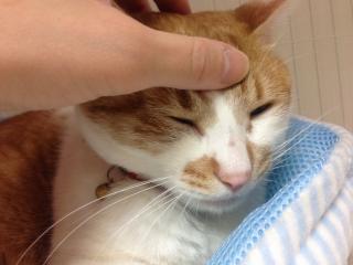 待ちくたびれちゃった