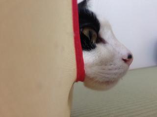 ズン!
