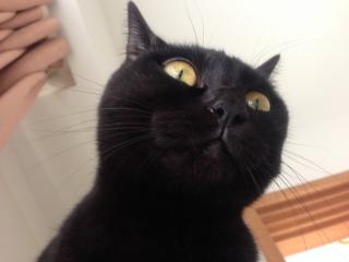 ちょっと心配でちゅね
