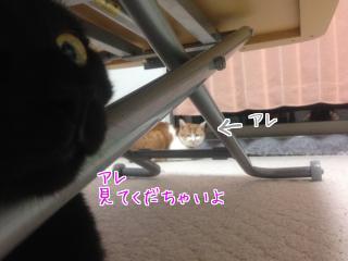 見えまちゅか?