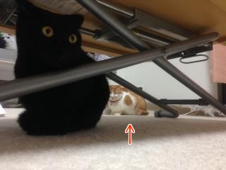 おねぇちゃんが見てるでちゅ