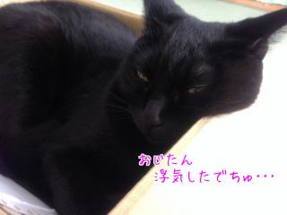 おじたんヒドイ!