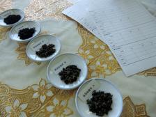 寝屋川で、中国茶・台湾茶・人生を楽しむ 茶遊サロン寝屋川中国茶サークル