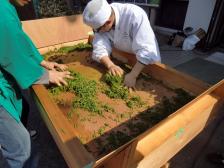 世界茶産地フェスティバル
