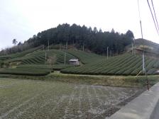 世界茶産地フェスティバル