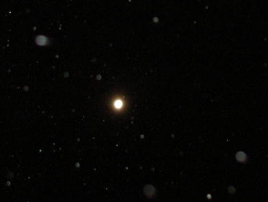 1301291.jpg