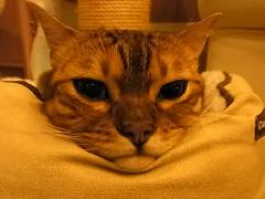 003_20120311220533.jpg