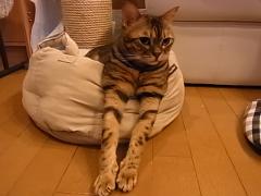 004_20120311220533.jpg