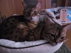 005_20120401223049.jpg