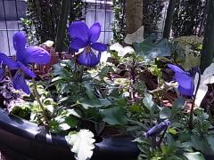 015_20120401214041.jpg