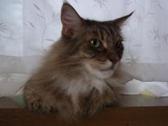 018_convert_20110829075941.jpg