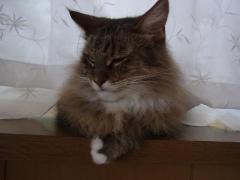 019_convert_20110829080024.jpg
