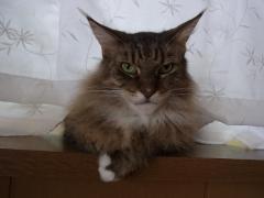 020_convert_20110829080107.jpg
