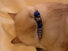 024_20110829075718.jpg
