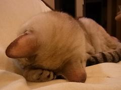 025_20110829075718.jpg