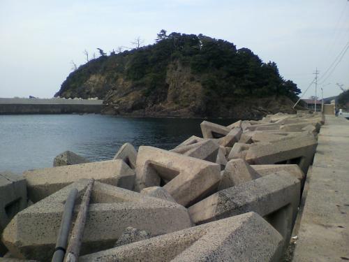 P1001023.jpg