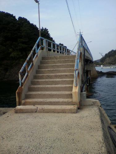 P1001024.jpg