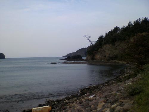 P1001028.jpg