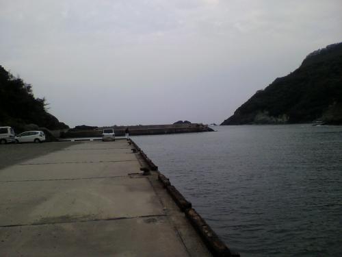 P1001038.jpg