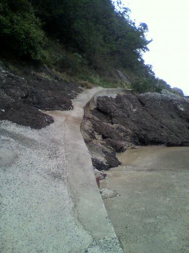 P1001039.jpg