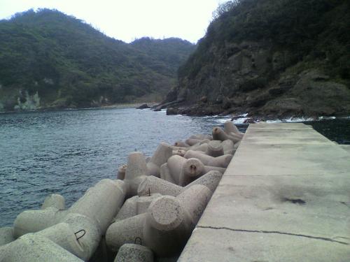 P1001042.jpg