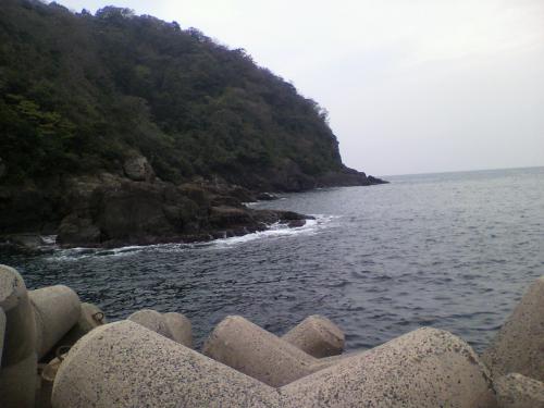 P1001043.jpg