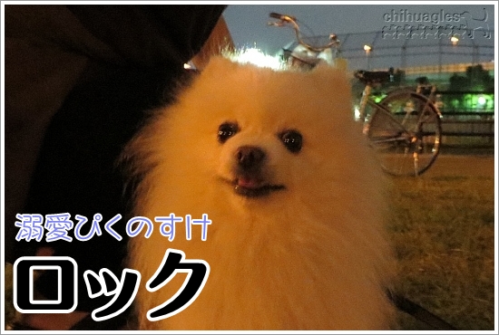 ロック