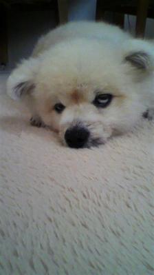 2012062614060000_20130606102225.jpg