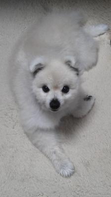 2013060118270000.jpg
