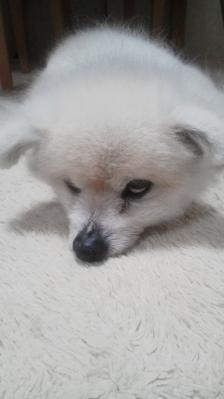2013060518530001.jpg