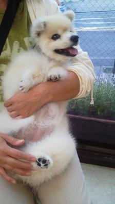 2013062114320000.jpg
