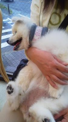 2013062114340001.jpg