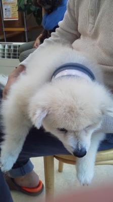 2013062114540002.jpg
