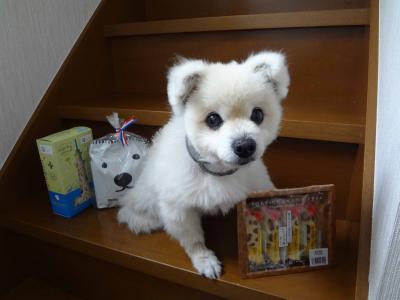 DSC01171-1.jpg