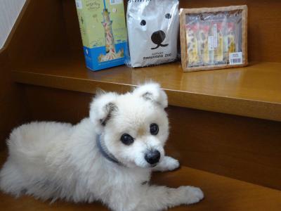 DSC01173-1.jpg