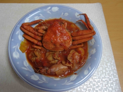 DSC02519-1.jpg