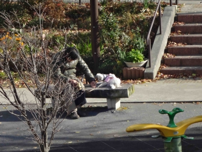 DSC02541-1.jpg