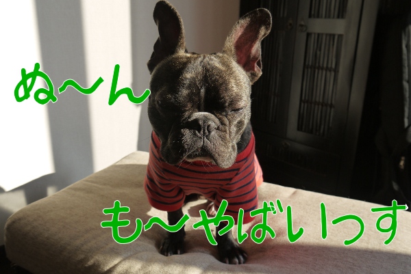 日向ぼっこ部2