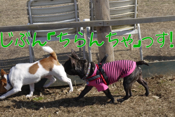 2月のアンデルセン公園1