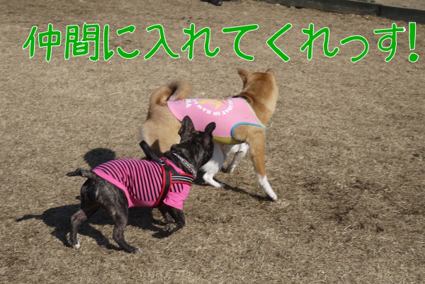 2月のアンデルセン公園2