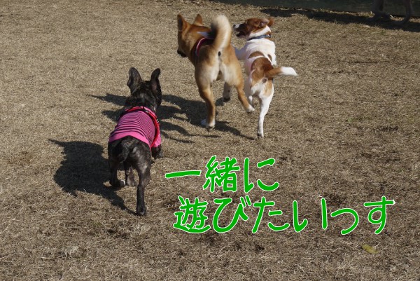 2月のアンデルセン公園3