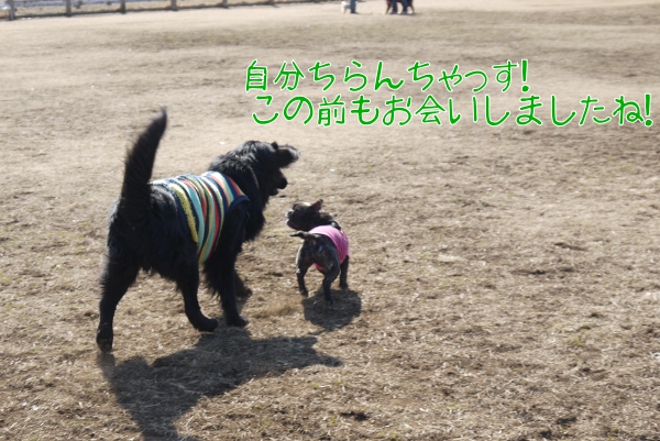 2月のアンデルセン公園4