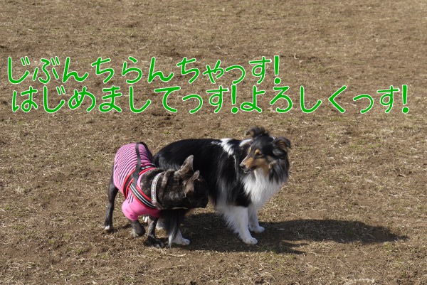 2月のアンデルセン公園7