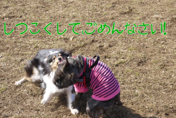 2月のアンデルセン公園8