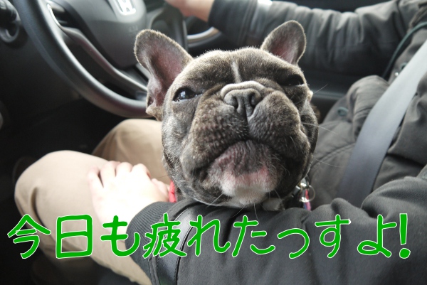 2月のアンデルセン公園9